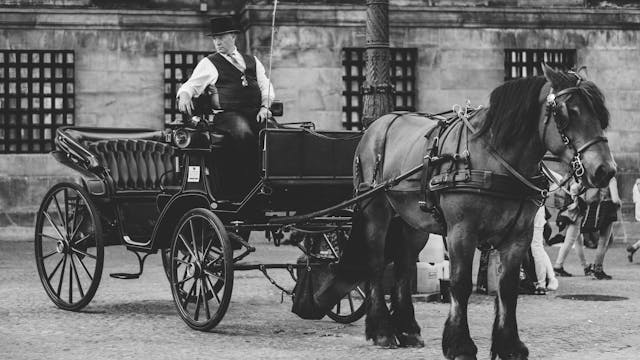 Horse and Carriage